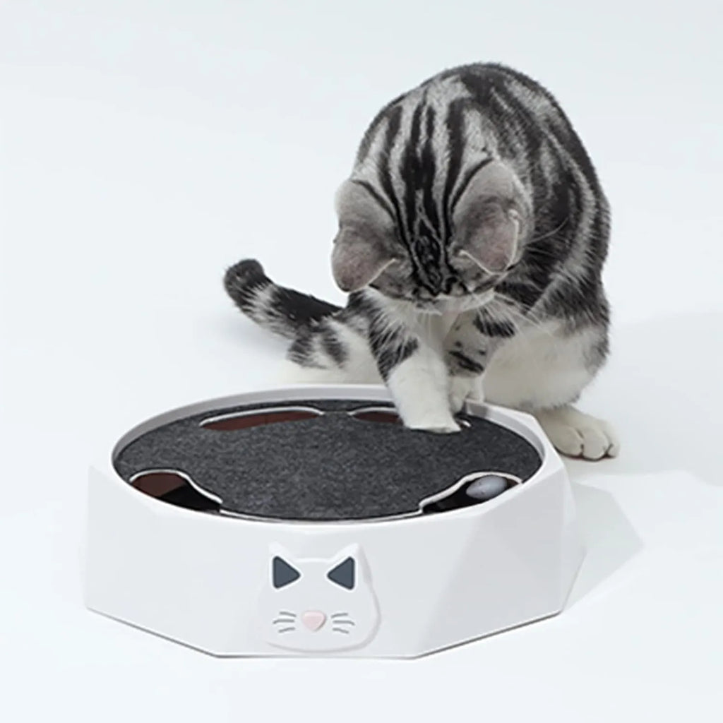 Interactive Rotating Mouse Track Cat Toy with Felt Scratcher