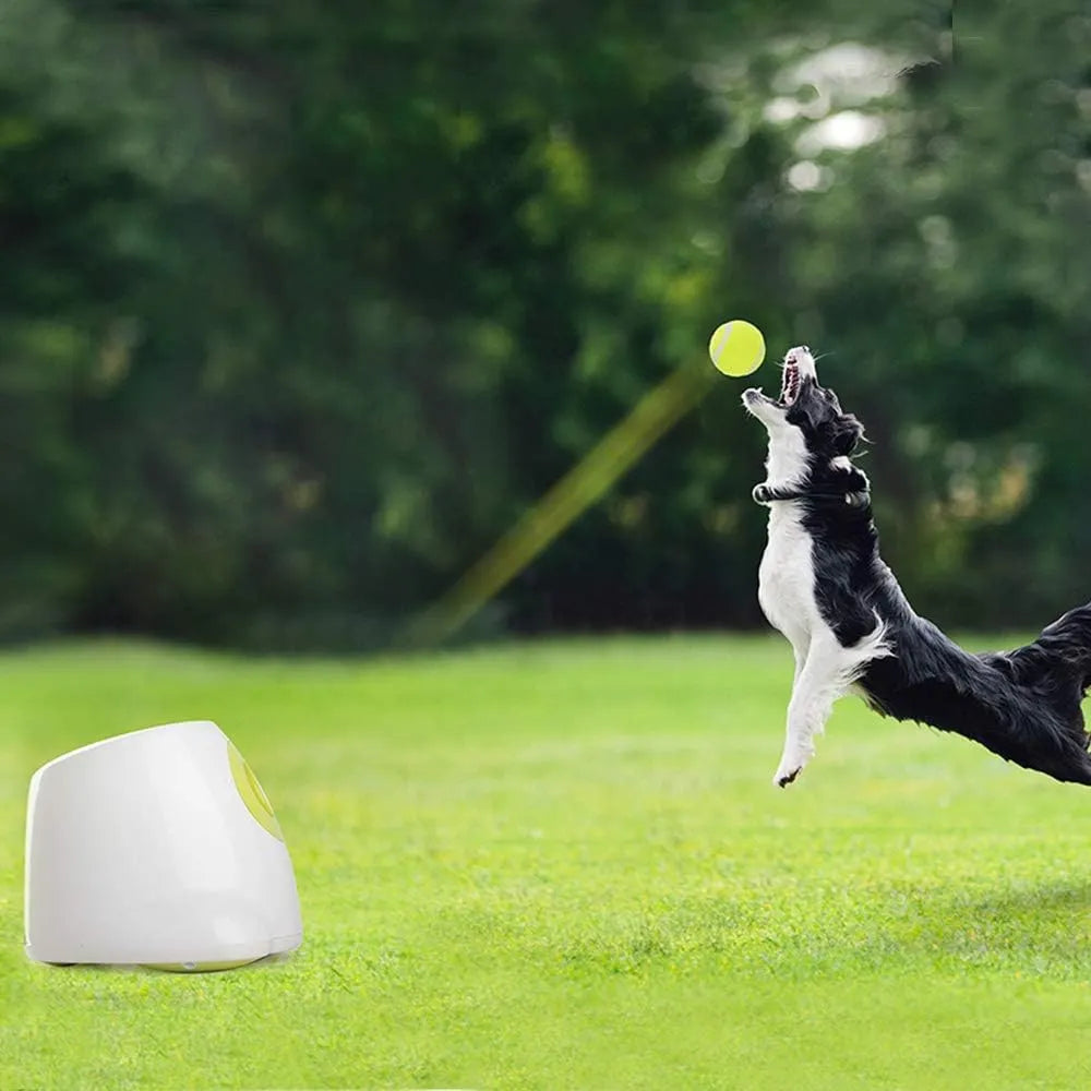 Automatic Dog Ball Launcher for Interactive Fetch