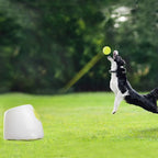 Automatic Dog Ball Launcher for Interactive Fetch