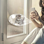 Clear Suction Cup Cat Window Bubble Bed – Single or 2-Pack
