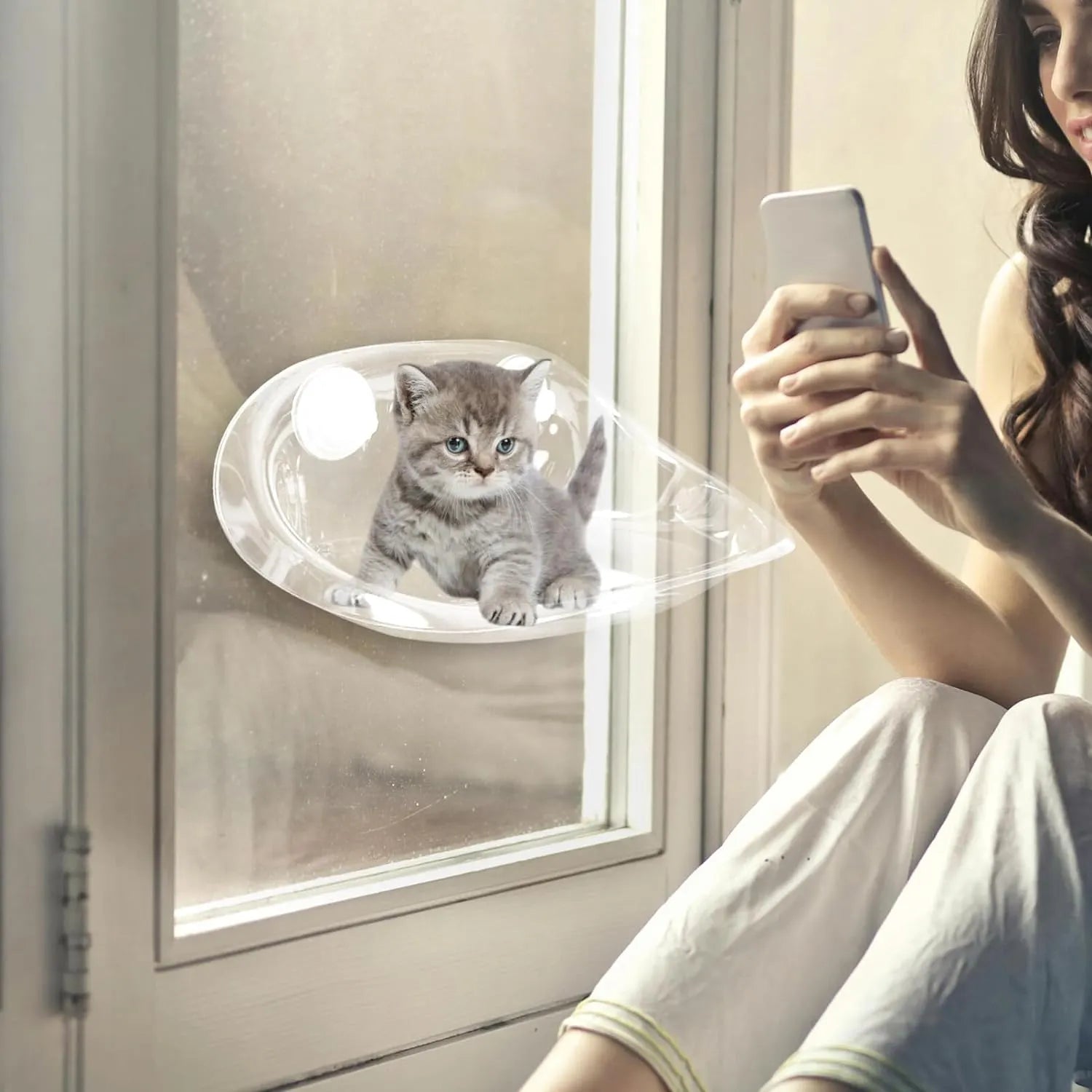 Clear Suction Cup Cat Window Bubble Bed – Single or 2-Pack