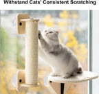 Suction Cup Window Cat Shelves & Scratching Post – 3 Styles
