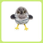 Motion-Activated Electronic Cat Toys – Bird, Mouse, or Butterfly