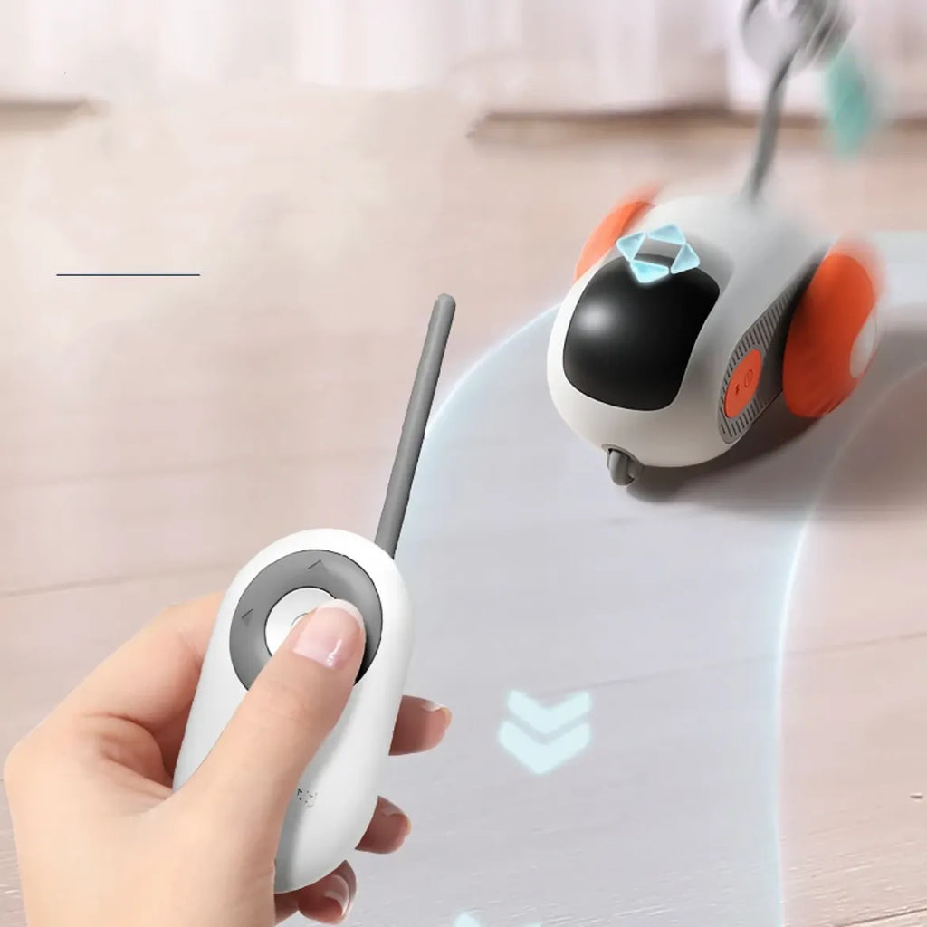Remote Control Cat Chase Car with Teaser Tail