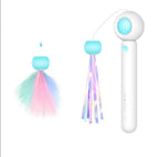 Retractable Cat Teaser Wand with 2 Attachments