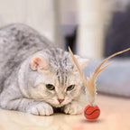 Bouncy Feather Sports Ball Toys for Indoor Cats