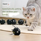 Interactive Plush Ball Toy for Cats