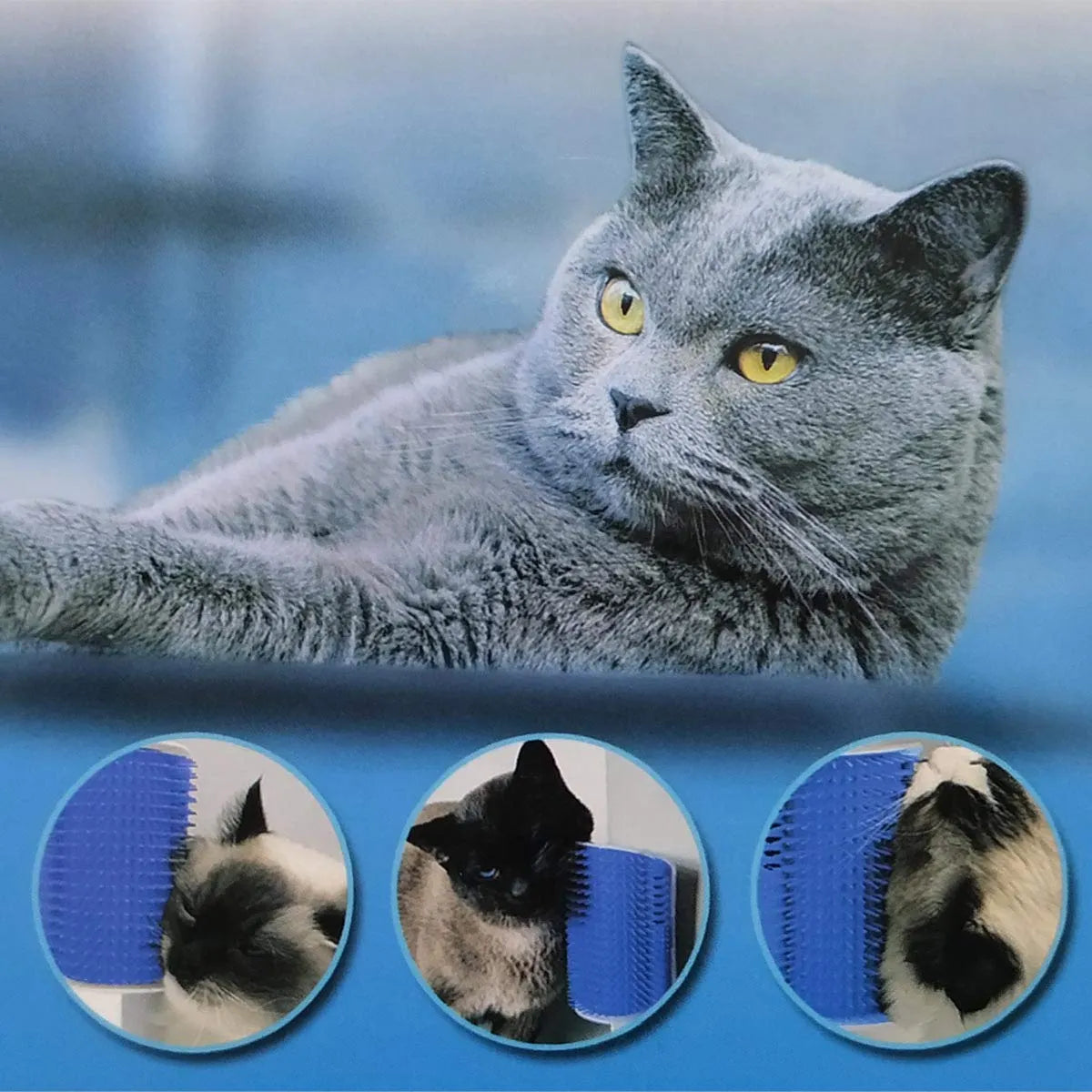Wall-Corner Self-Grooming Brush for Cats – Single or 3-Color Set