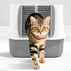 Self-Grooming Brush Gate for Cat Litter Boxes