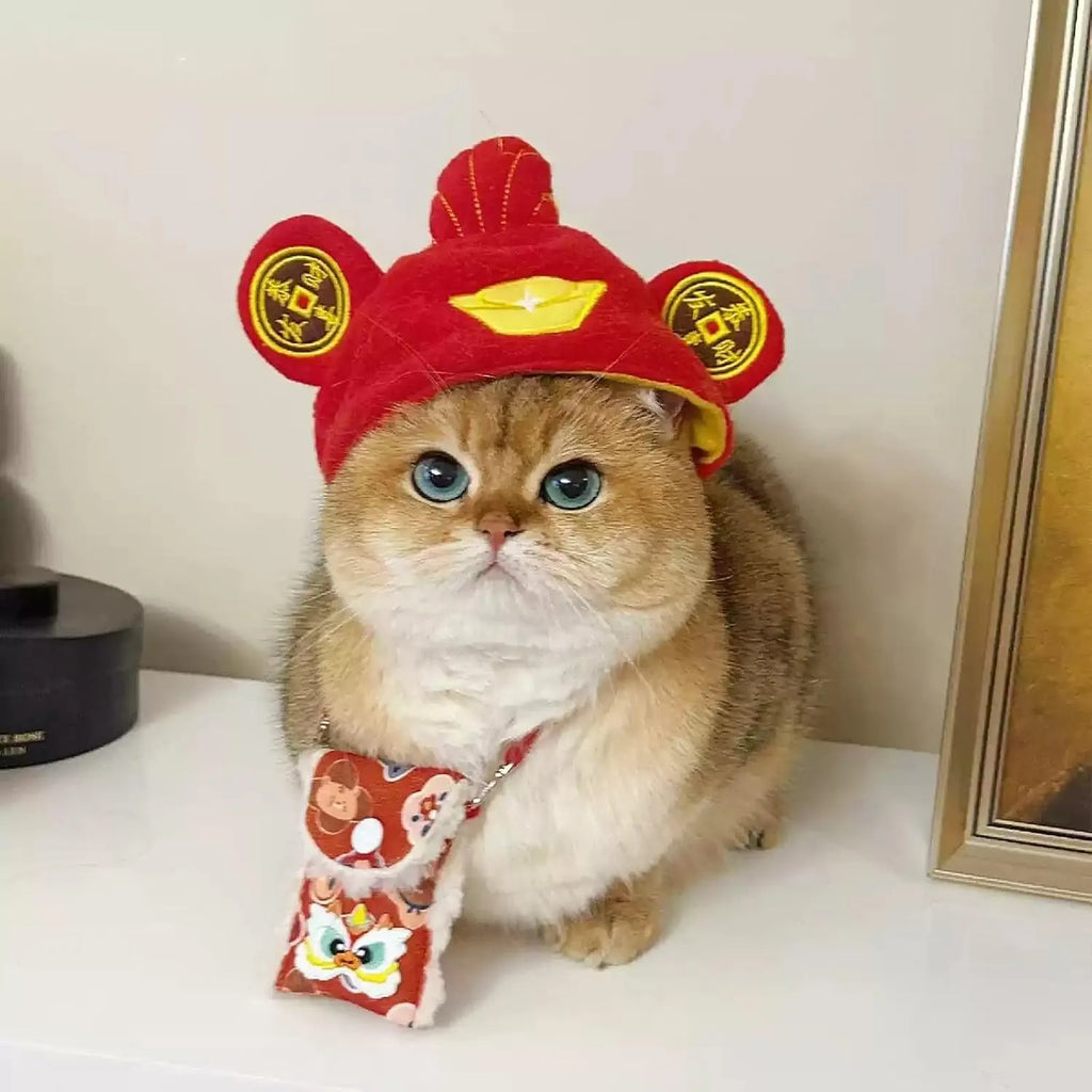 Plush Character Pet Hat – 13 Styles, Single or 3-Piece Set