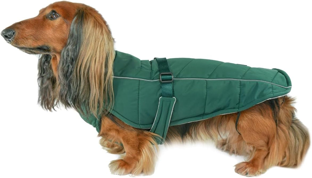 Adjustable Insulated Dog Coat – 3 Colors, 4 Sizes
