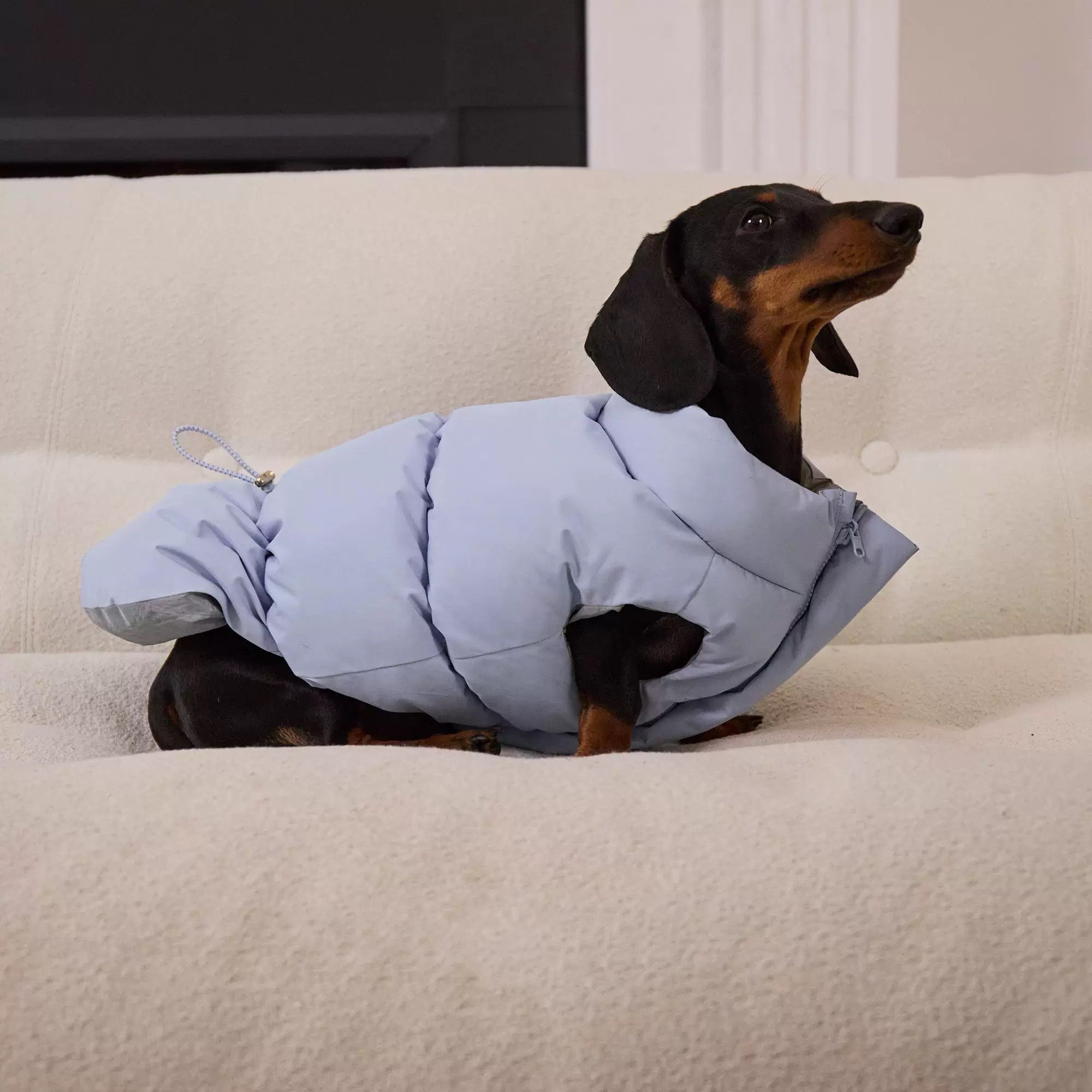 Reversible Blue & Silver Dog Puffer Jacket – 5 Sizes