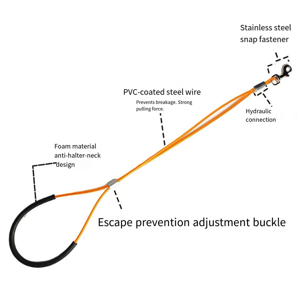 Double-Loop Pet Grooming Restraint with Suction Mount
