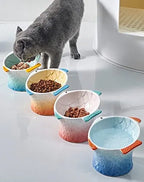 Colorful Raised Ceramic Cat Food Bowl – 4 Colors