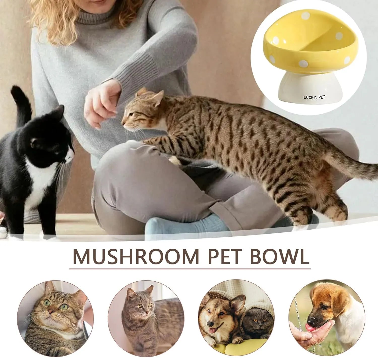 200ml Elevated Ceramic Cat Feeding Bowl