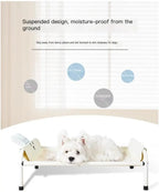 Elevated Pet Camp Bed – Grey or Yellow, 3 Sizes