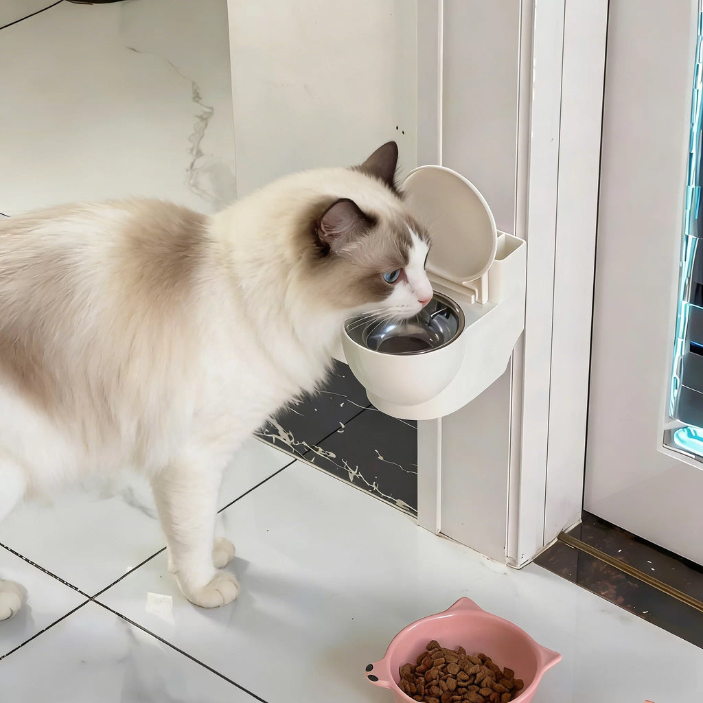 Novelty Toilet-Shaped Cat Water Bowl – 3 Colors
