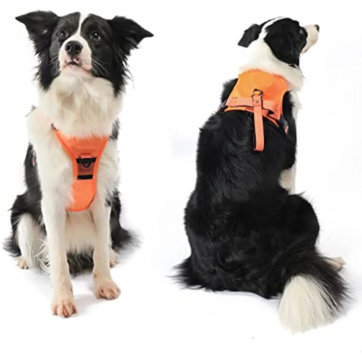 Dog Harness with Built-In Retractable Leash – 3 Colors