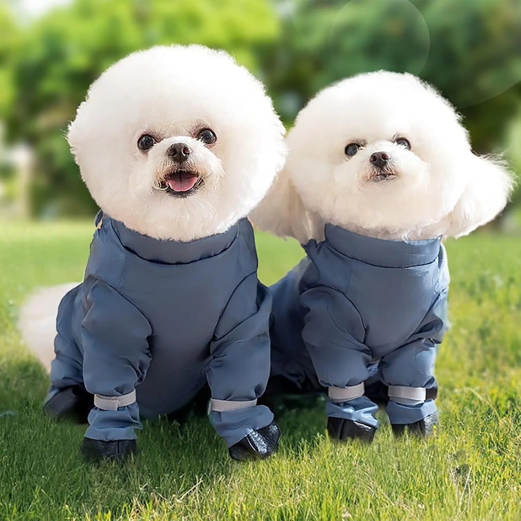 Four-Leg Dog Outdoor Coverall with Paw Covers – 5 Sizes, 3 Styles