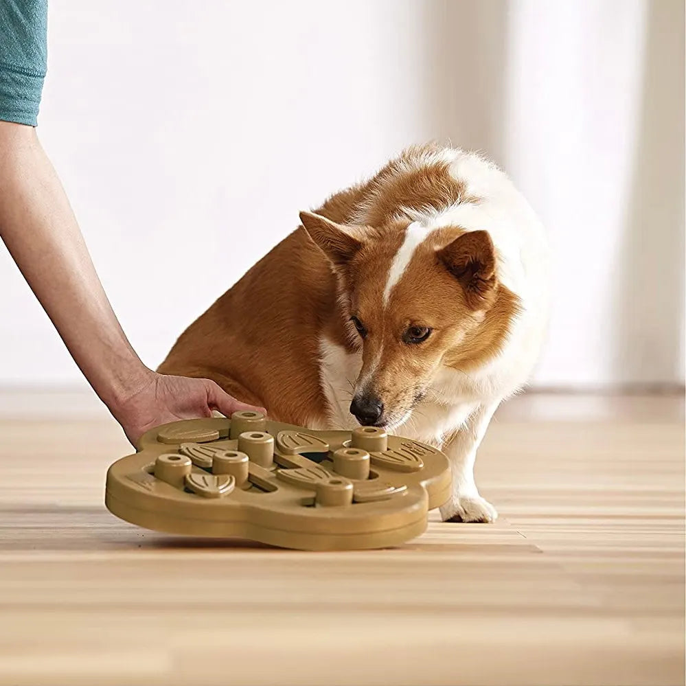 Round Sliding Pet Treat Puzzle – 3 Styles