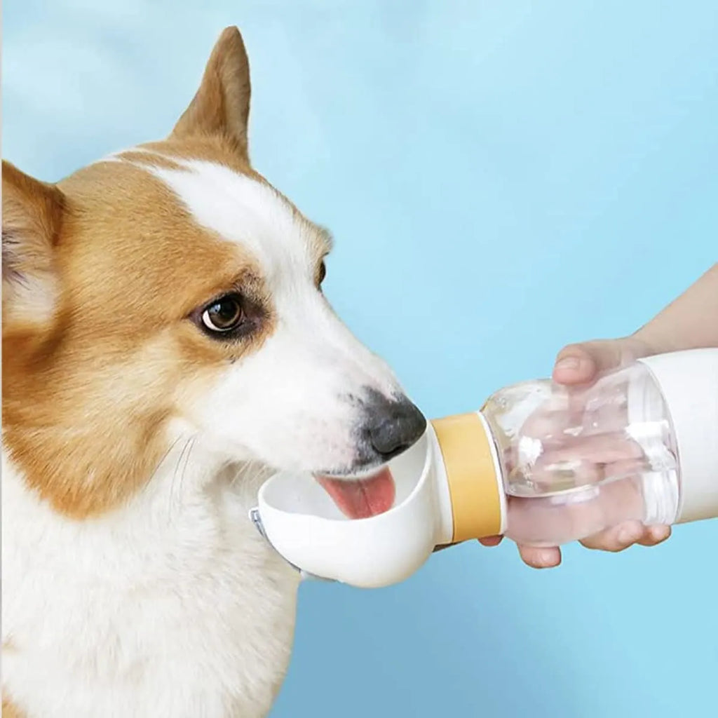 2-in-1 Travel Pet Water Bottle & Food Container – 12 + 7 oz