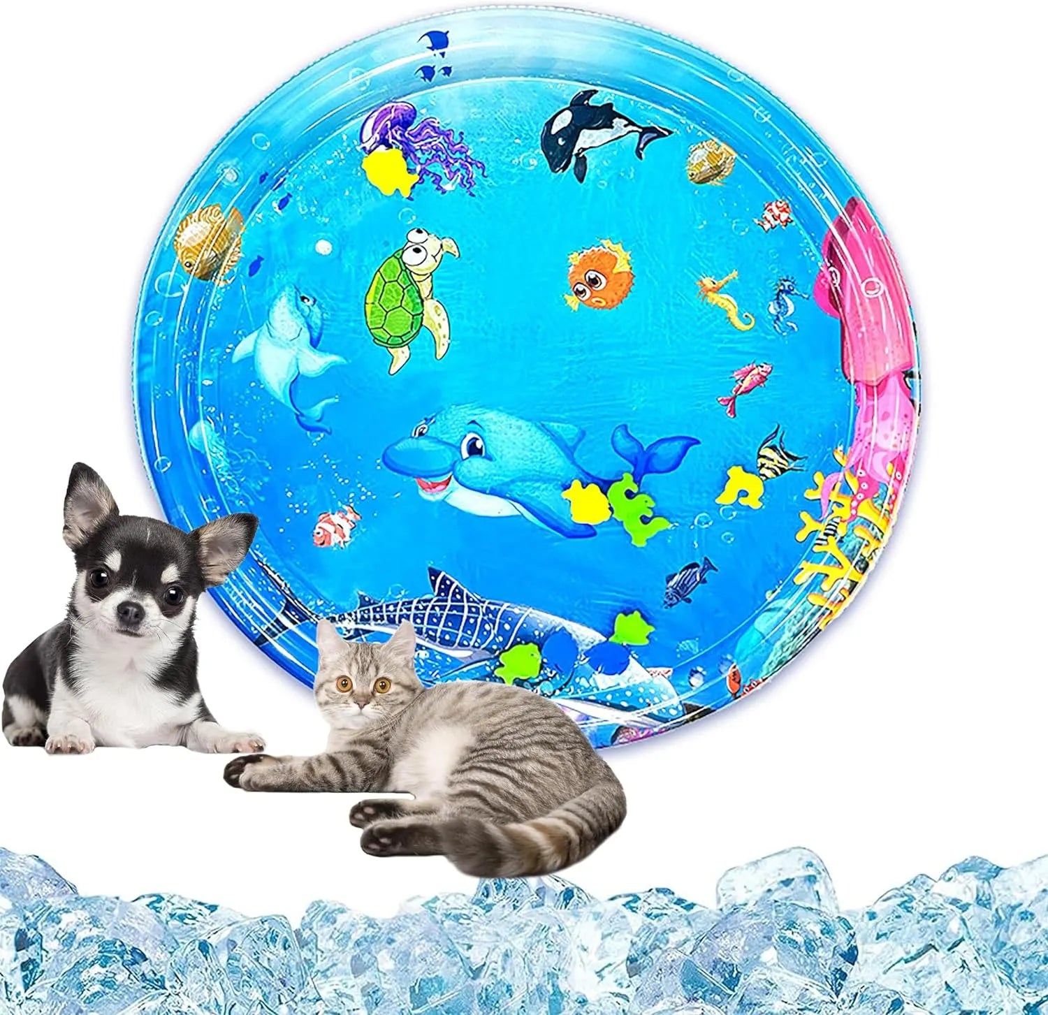 Water-Filled Sensory Play Mat for Cats – 26 to 42 in