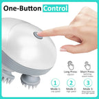 Rechargeable 4-Head Pet Massager – 4 Colors
