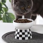 Black & White Raised Ceramic Cat Bowl – Single or 2-Piece Set