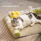 Bolstered Pet Sleeping Mat for Cats & Dogs – L or XL