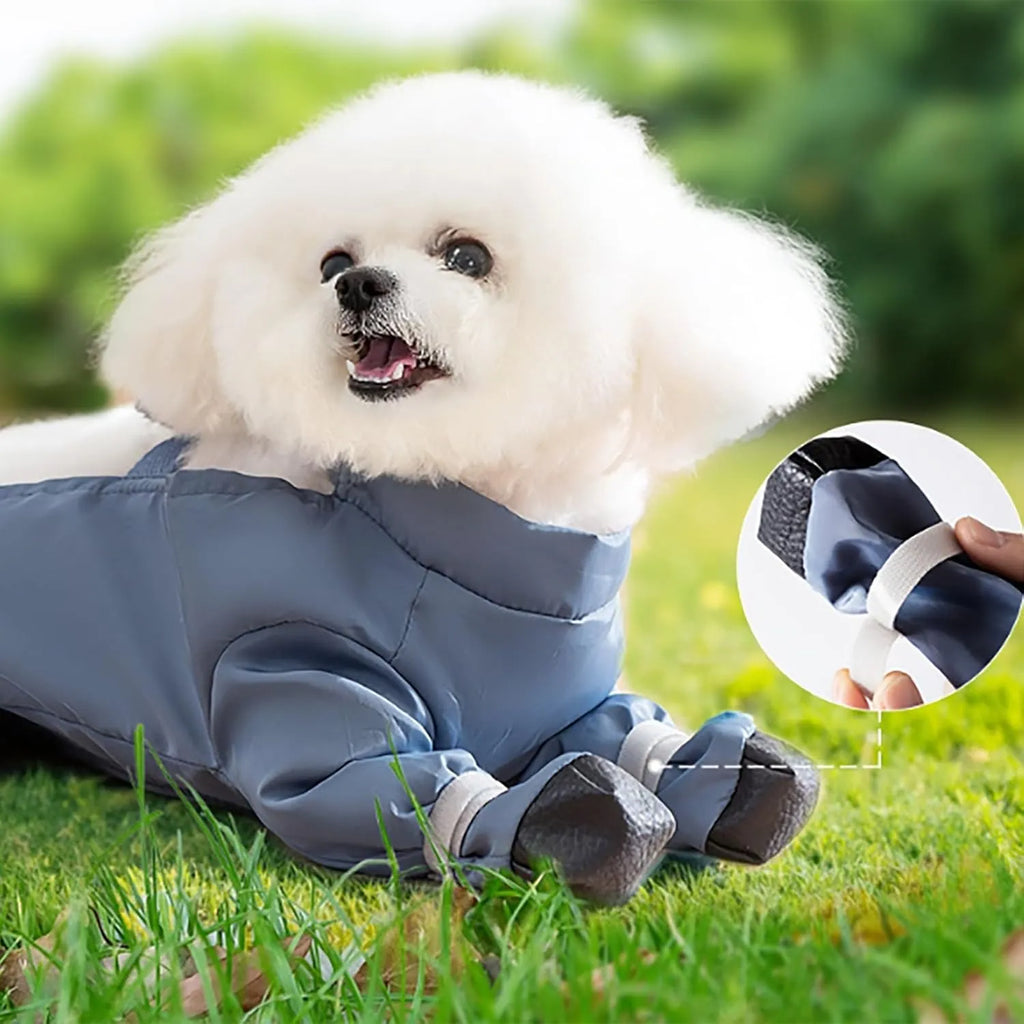 Four-Leg Dog Outdoor Coverall with Paw Covers – 5 Sizes, 3 Styles