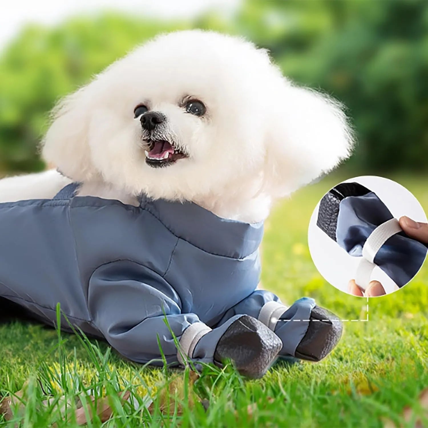 Four-Leg Dog Outdoor Coverall with Paw Covers – 5 Sizes, 3 Styles