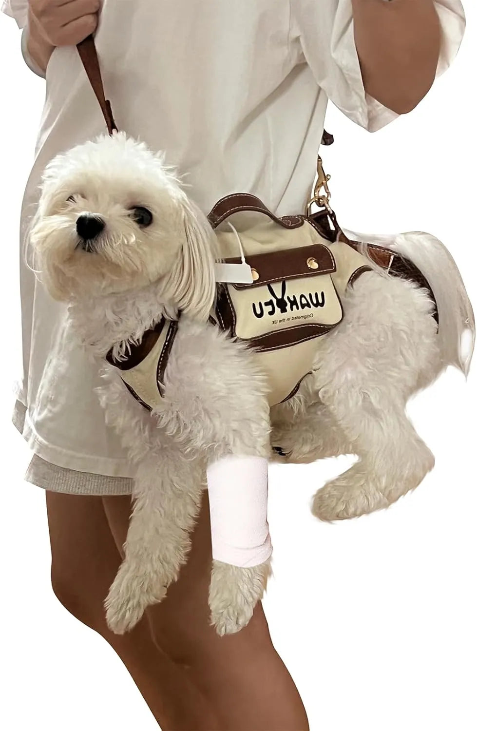 Supportive Small Dog Vest Harness – 2 Colors, 4 Sizes
