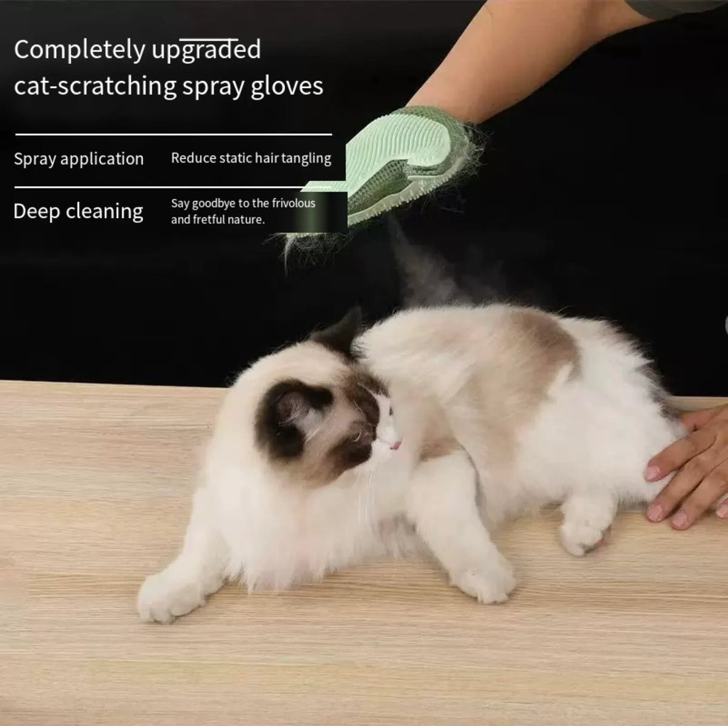 Mist Spray Pet Grooming Glove – 3 Colors