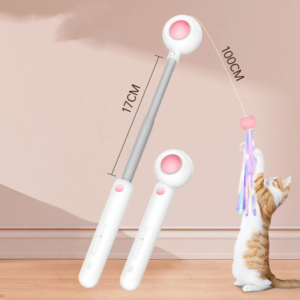 Retractable Cat Teaser Wand with 2 Attachments