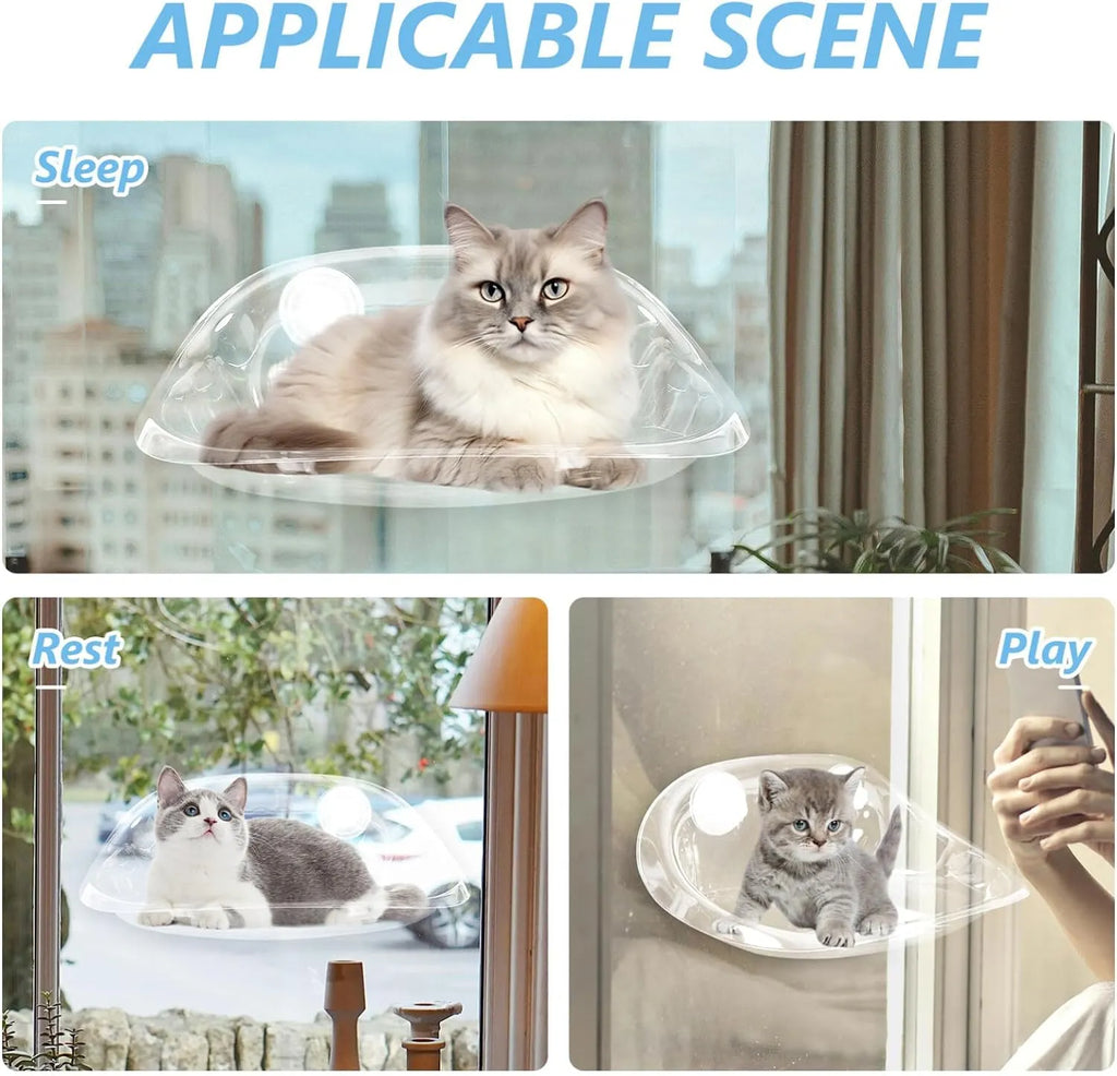 Clear Suction Cup Cat Window Bubble Bed – Single or 2-Pack