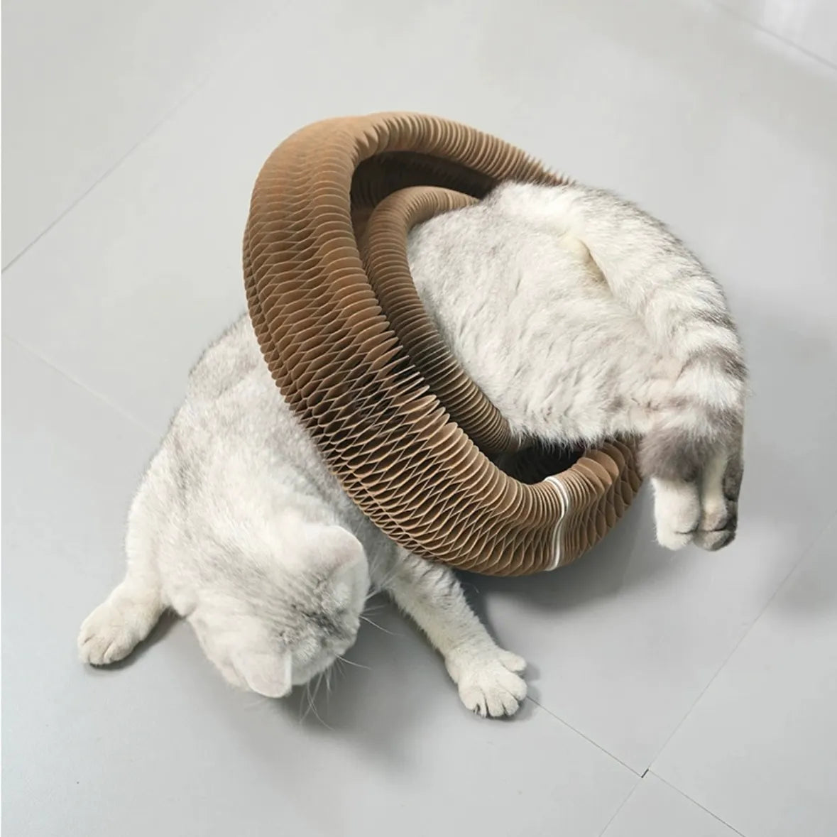 Expandable Cardboard Cat Scratcher with Ball Track