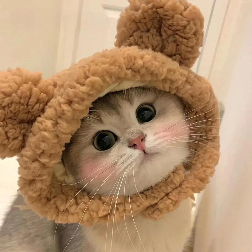 Plush Character Pet Hat – 13 Styles, Single or 3-Piece Set