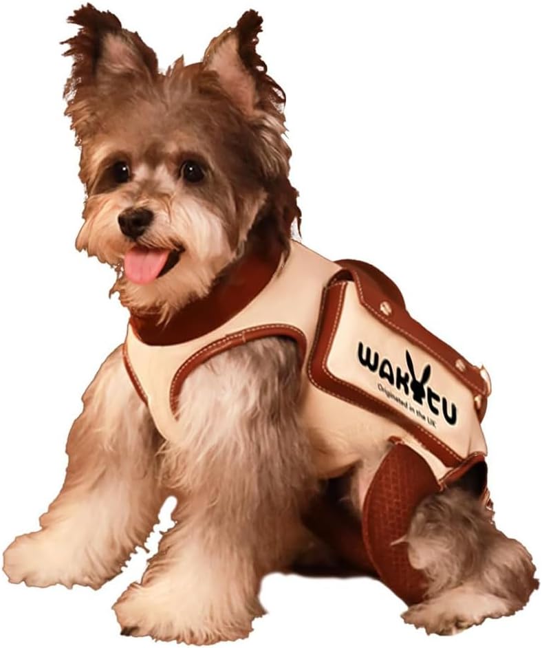 Supportive Small Dog Vest Harness – 2 Colors, 4 Sizes