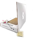 Laptop-Shaped Cardboard Cat Scratcher with Mouse Toy