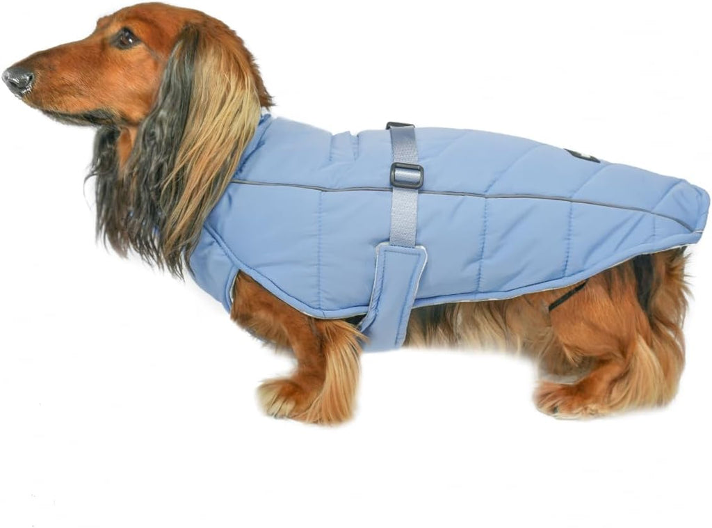 Adjustable Insulated Dog Coat – 3 Colors, 4 Sizes