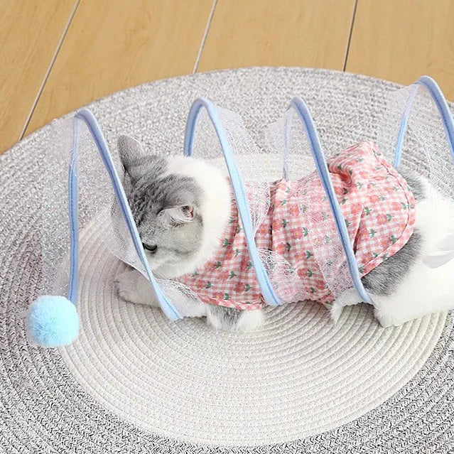 Spiral Cat Track Toy with Ball and Feather – Single or Multi-Pack