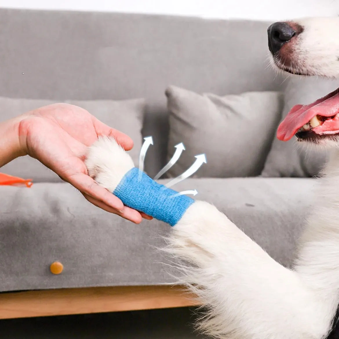 3-Roll Elastic Pet Bandage Wrap Tape