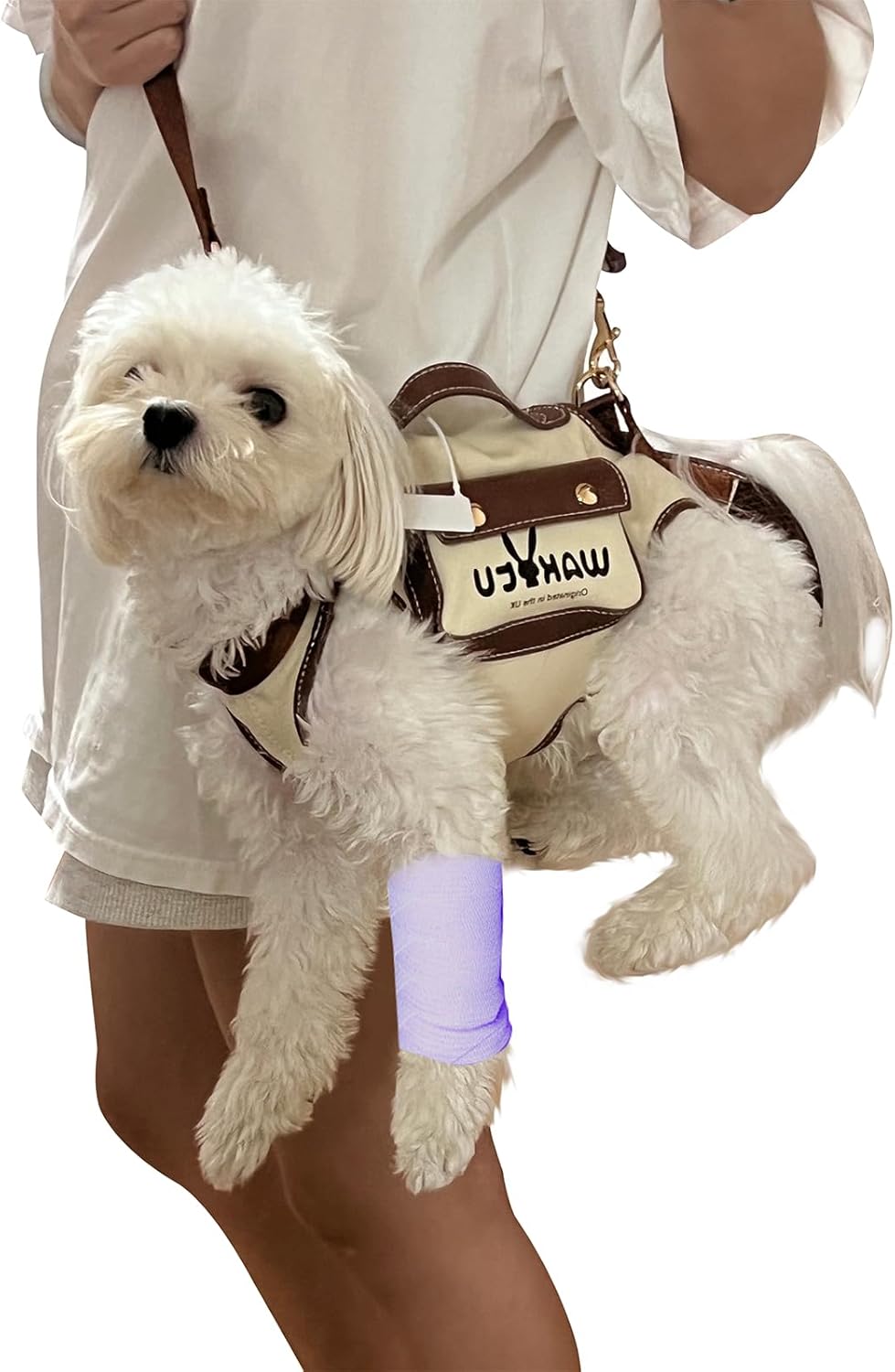 Supportive Small Dog Vest Harness – 2 Colors, 4 Sizes