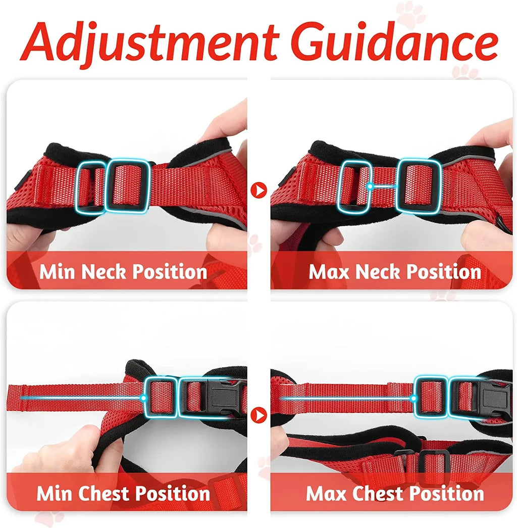 Adjustable Cat Harness Vest for Walking