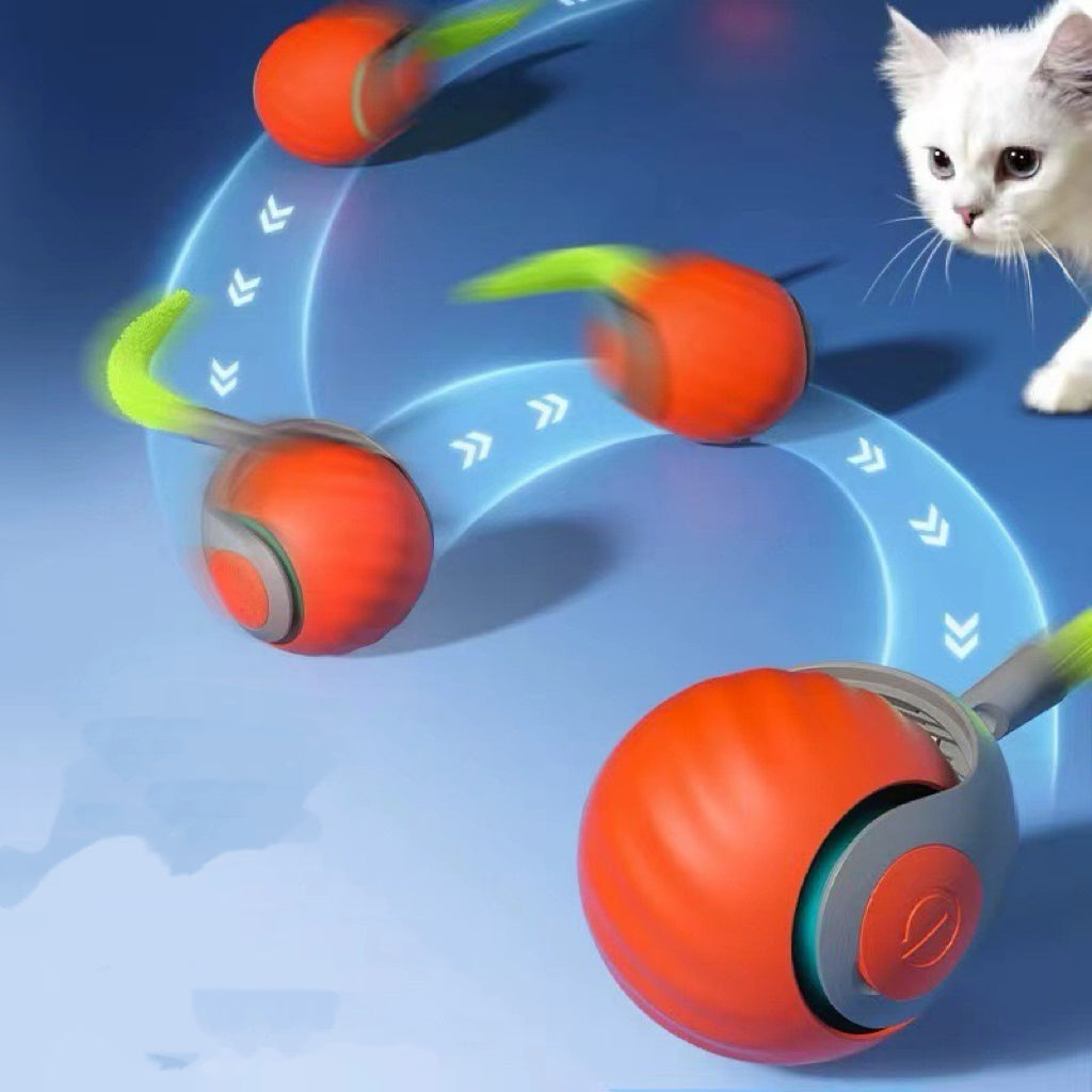 Rechargeable Smart Rolling Pet Ball – 7 Styles