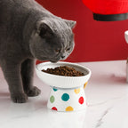 Colorful Polka Dot Raised Ceramic Cat Bowls – 6 Models