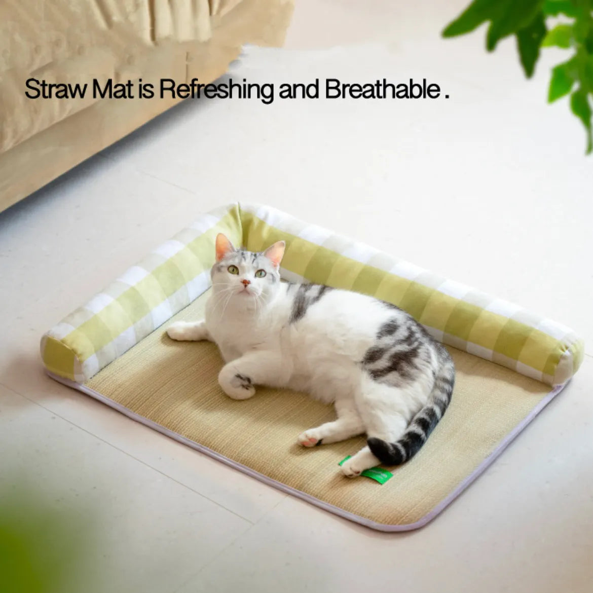 Bolstered Pet Sleeping Mat for Cats & Dogs – L or XL