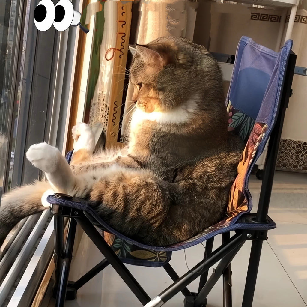 Portable Folding Chair for Cats & Small Pets with Carry Bag