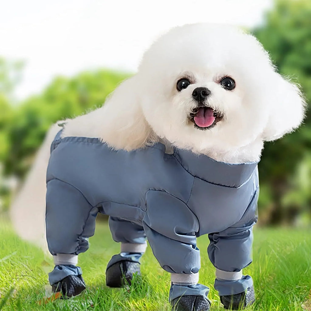 Four-Leg Dog Outdoor Coverall with Paw Covers – 5 Sizes, 3 Styles