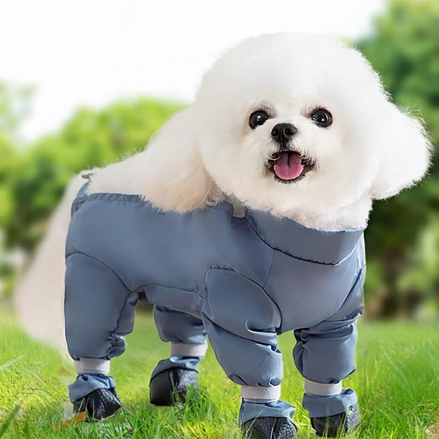 Four-Leg Dog Outdoor Coverall with Paw Covers – 5 Sizes, 3 Styles
